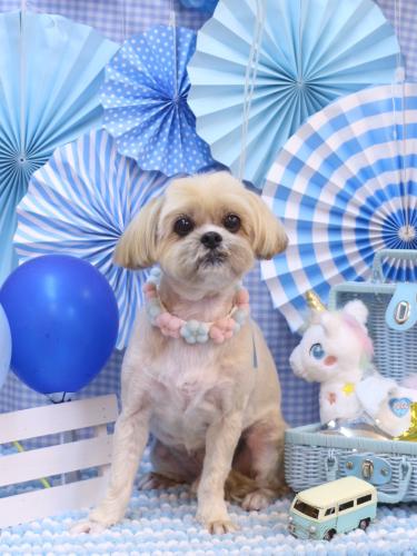 20231110ラルクくん